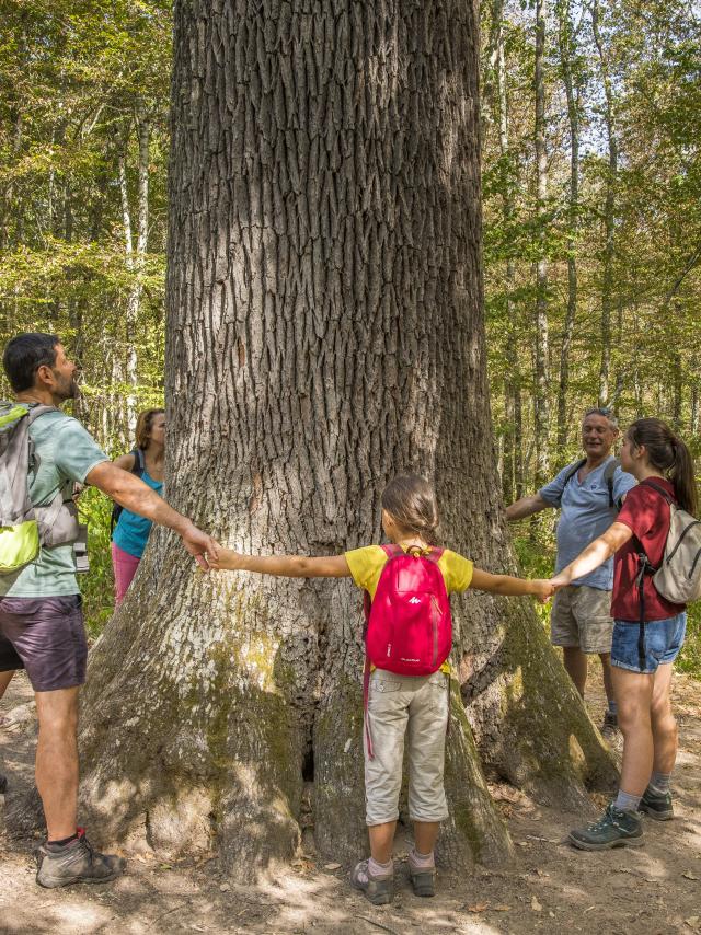 troncais-stebbing-luc-olivier-cdt-allier-11