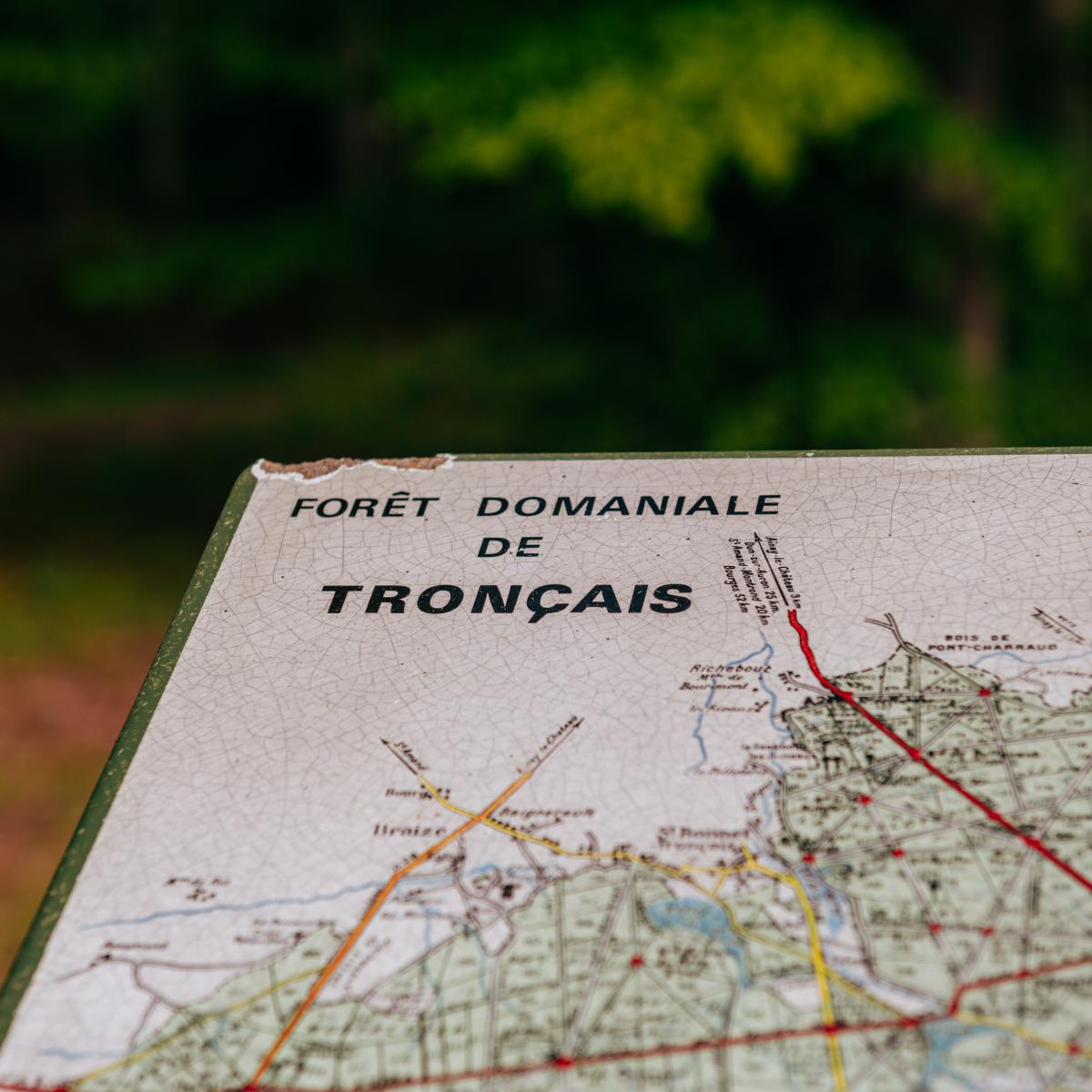 Tronçais Forêt d’Exception | Office de tourisme de vallée coeur de France