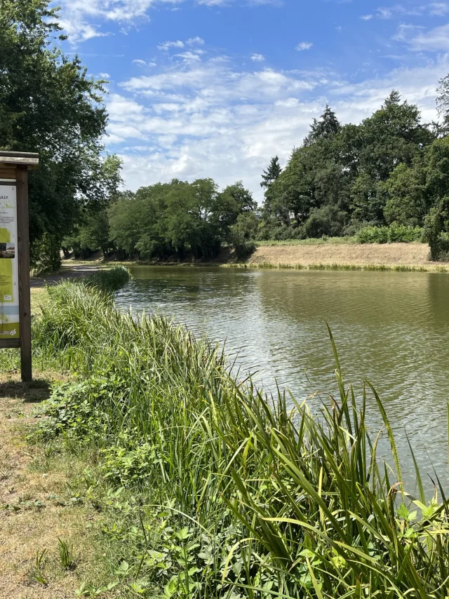 Canal De Berry Montlucon Tourisme 01